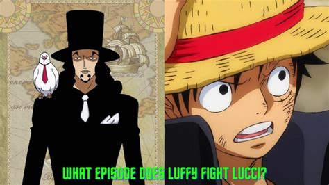 how did luffy defeat lucci.